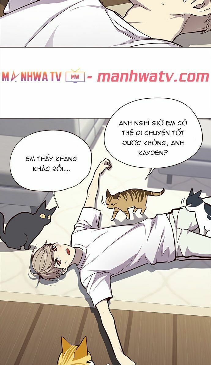 đọc truyện Hóa Thân Thành Mèo Chương 22 ảnh 16 tại Thiên Thai Truyện