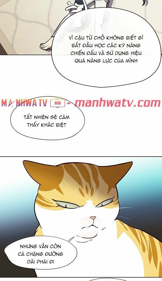 đọc truyện Hóa Thân Thành Mèo Chương 22 ảnh 19 tại Thiên Thai Truyện