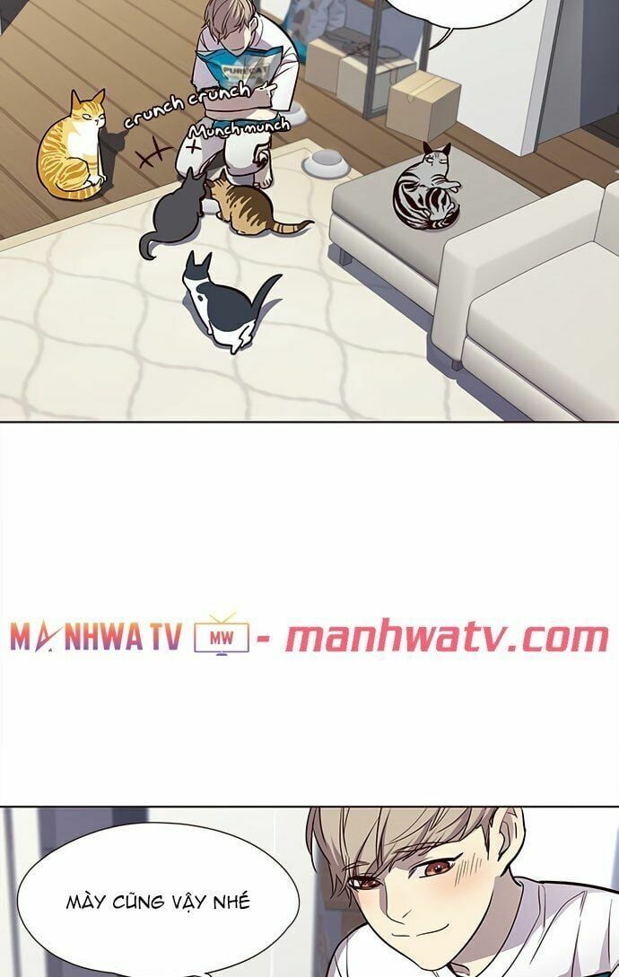 đọc truyện Hóa Thân Thành Mèo Chương 22 ảnh 27 tại Thiên Thai Truyện