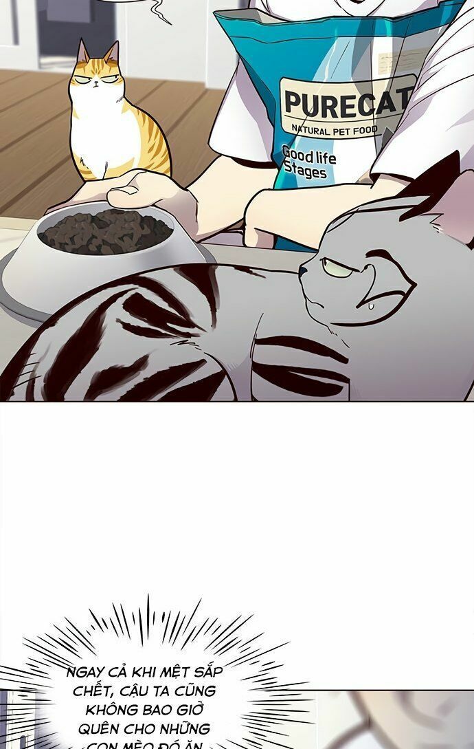 đọc truyện Hóa Thân Thành Mèo Chương 22 ảnh 28 tại Thiên Thai Truyện