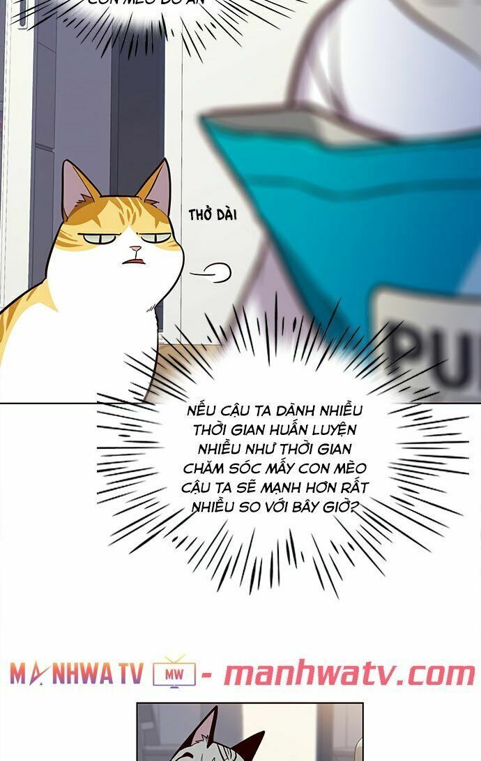 đọc truyện Hóa Thân Thành Mèo Chương 22 ảnh 29 tại Thiên Thai Truyện