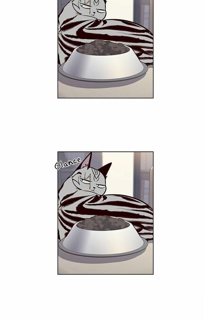 đọc truyện Hóa Thân Thành Mèo Chương 22 ảnh 30 tại Thiên Thai Truyện