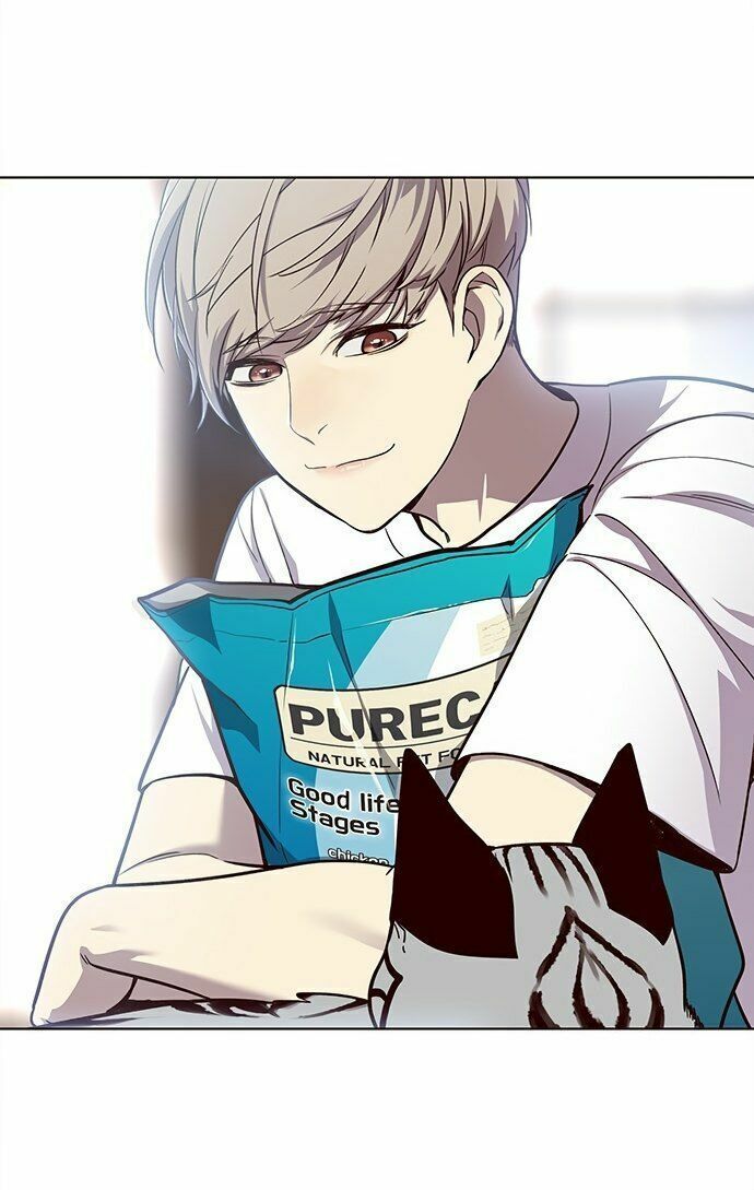 đọc truyện Hóa Thân Thành Mèo Chương 22 ảnh 31 tại Thiên Thai Truyện