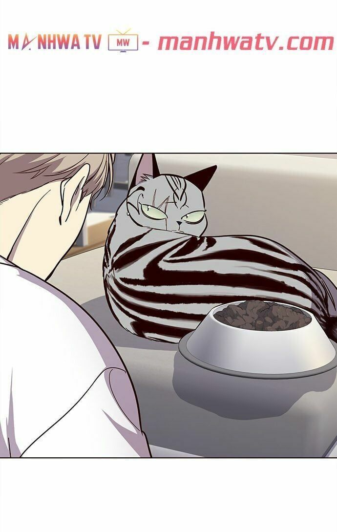 đọc truyện Hóa Thân Thành Mèo Chương 22 ảnh 32 tại Thiên Thai Truyện