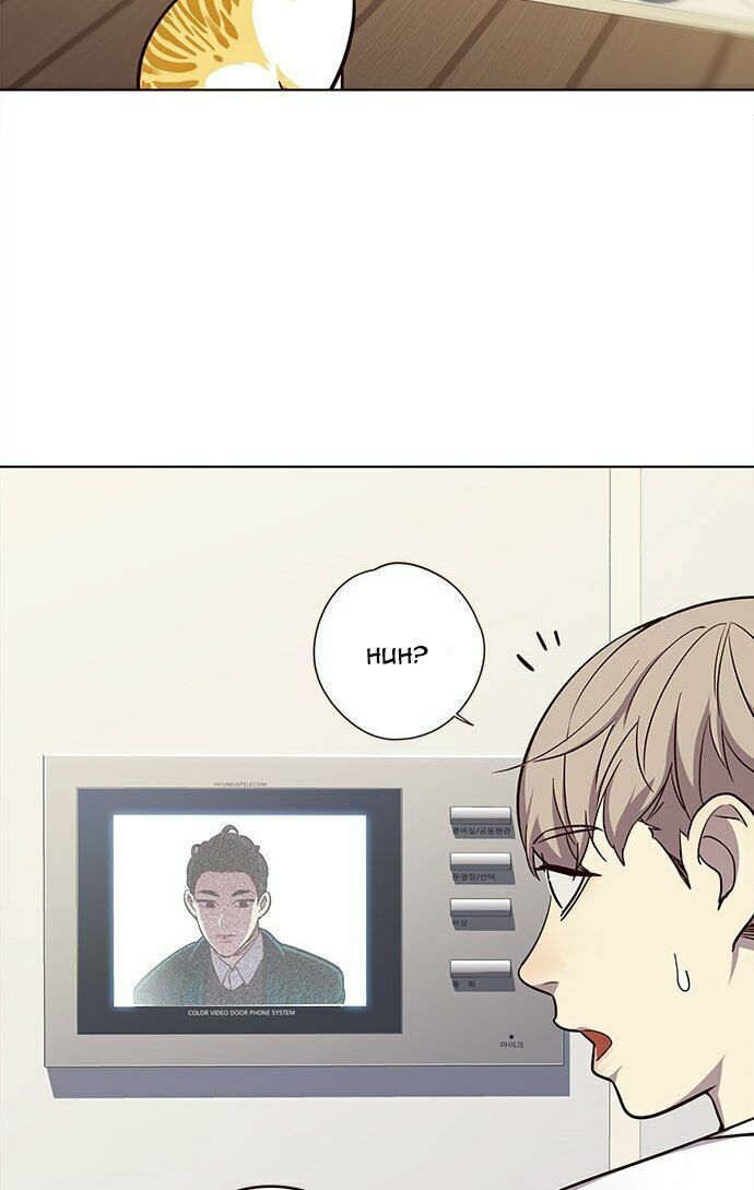 đọc truyện Hóa Thân Thành Mèo Chương 22 ảnh 34 tại Thiên Thai Truyện