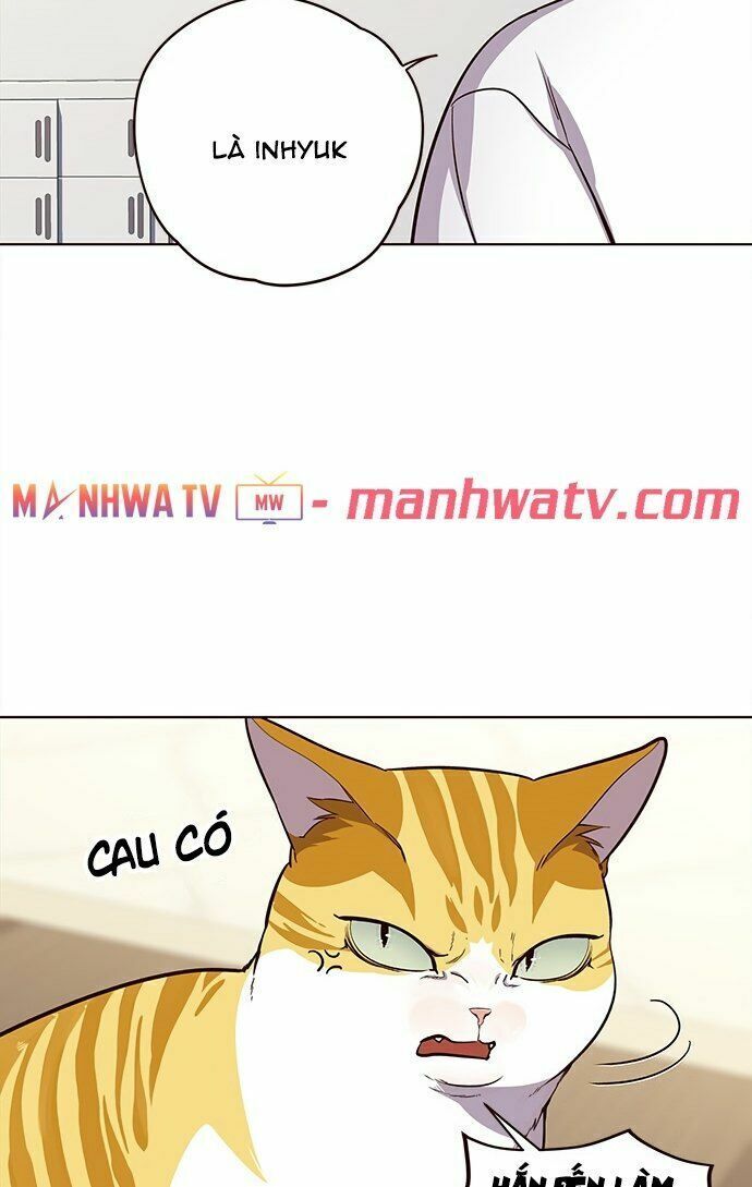 đọc truyện Hóa Thân Thành Mèo Chương 22 ảnh 35 tại Thiên Thai Truyện