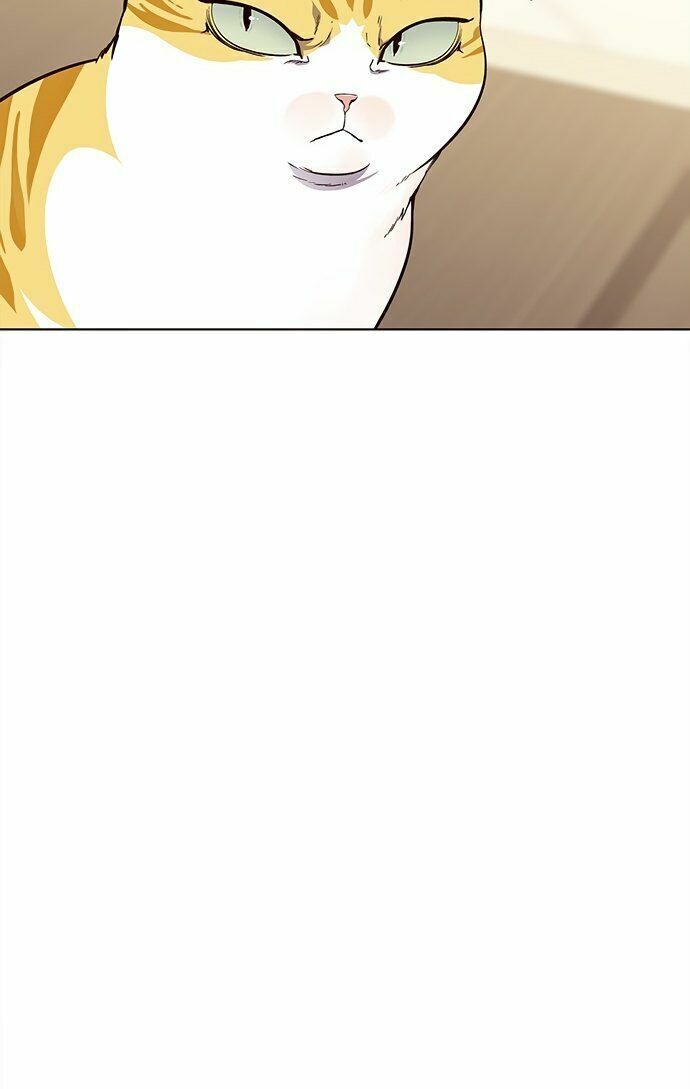 đọc truyện Hóa Thân Thành Mèo Chương 22 ảnh 38 tại Thiên Thai Truyện