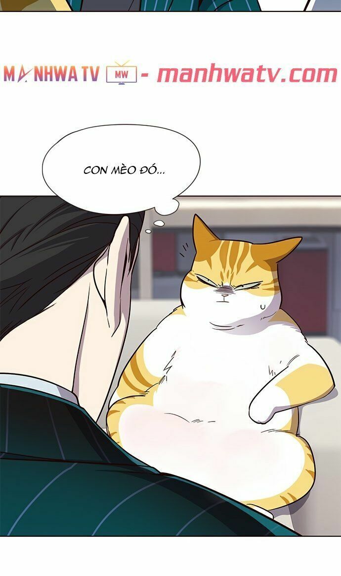 đọc truyện Hóa Thân Thành Mèo Chương 22 ảnh 74 tại Thiên Thai Truyện