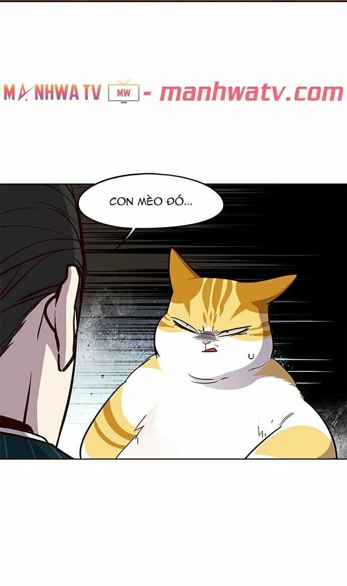 đọc truyện Hóa Thân Thành Mèo Chương 22 ảnh 78 tại Thiên Thai Truyện