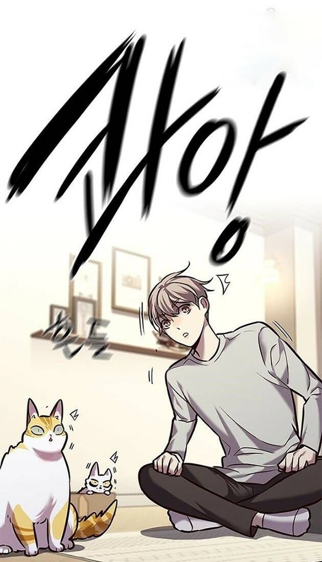 đọc truyện Hóa Thân Thành Mèo Chương 220 ảnh 3 tại Thiên Thai Truyện