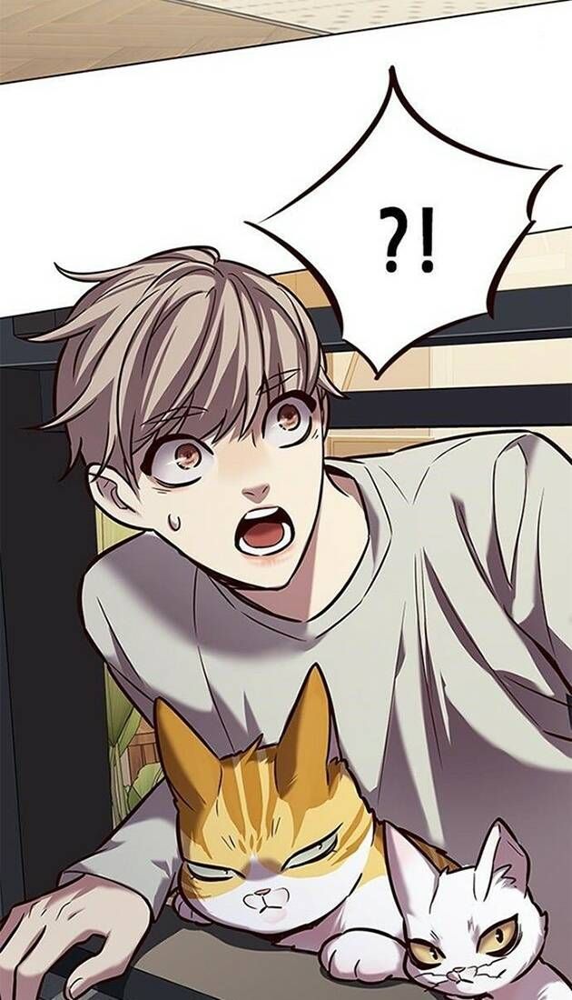 đọc truyện Hóa Thân Thành Mèo Chương 220 ảnh 4 tại Thiên Thai Truyện