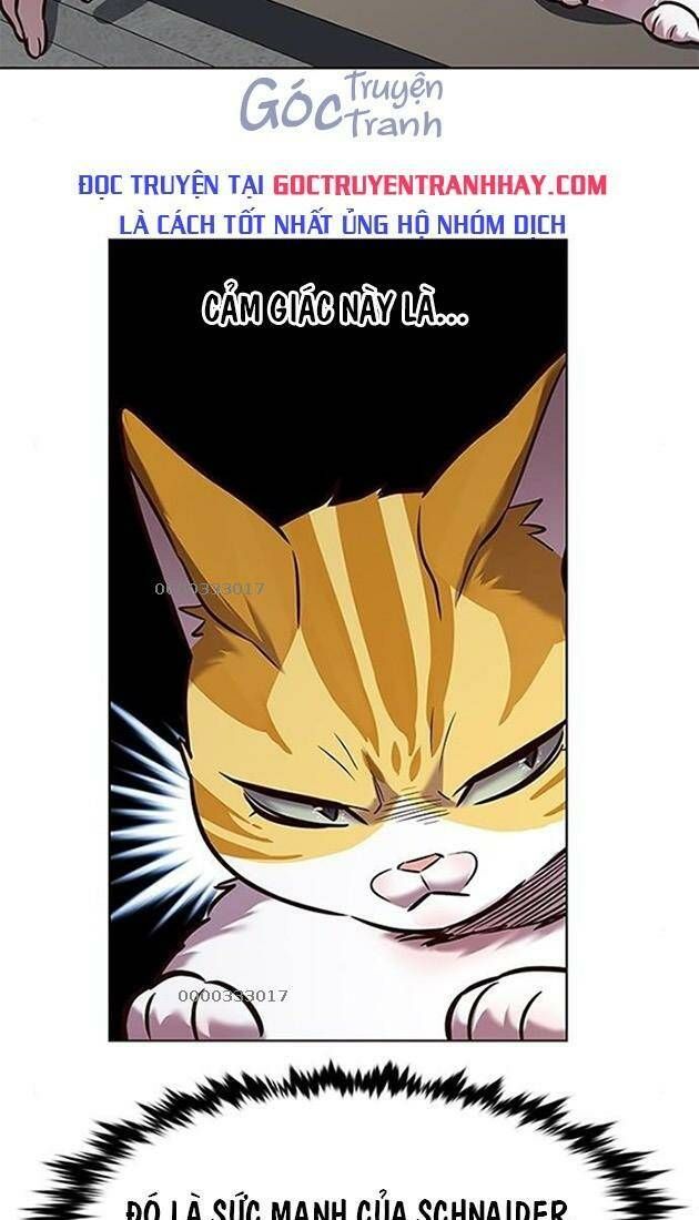 đọc truyện Hóa Thân Thành Mèo Chương 220 ảnh 5 tại Thiên Thai Truyện