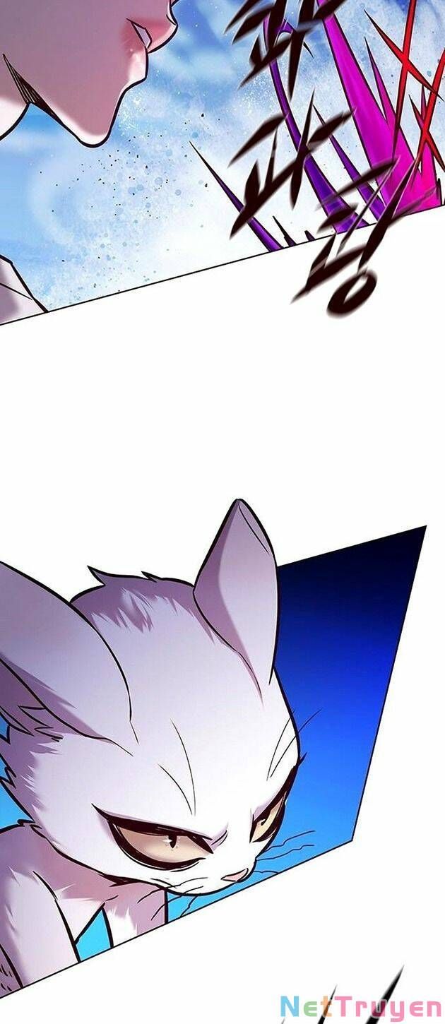 đọc truyện Hóa Thân Thành Mèo Chương 221 ảnh 43 tại Thiên Thai Truyện