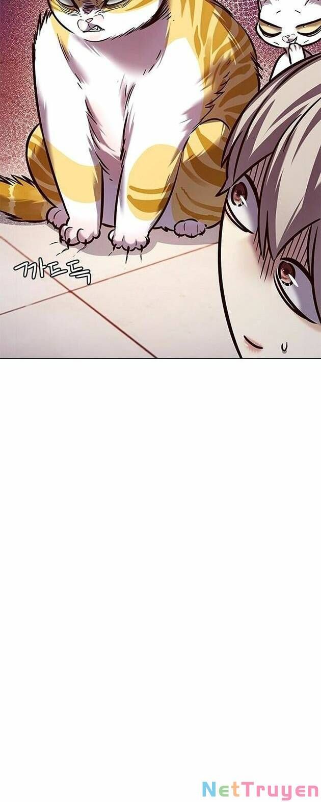 đọc truyện Hóa Thân Thành Mèo Chương 222 ảnh 67 tại Thiên Thai Truyện