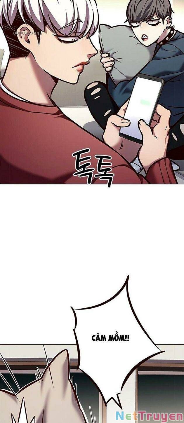 đọc truyện Hóa Thân Thành Mèo Chương 223 ảnh 31 tại Thiên Thai Truyện