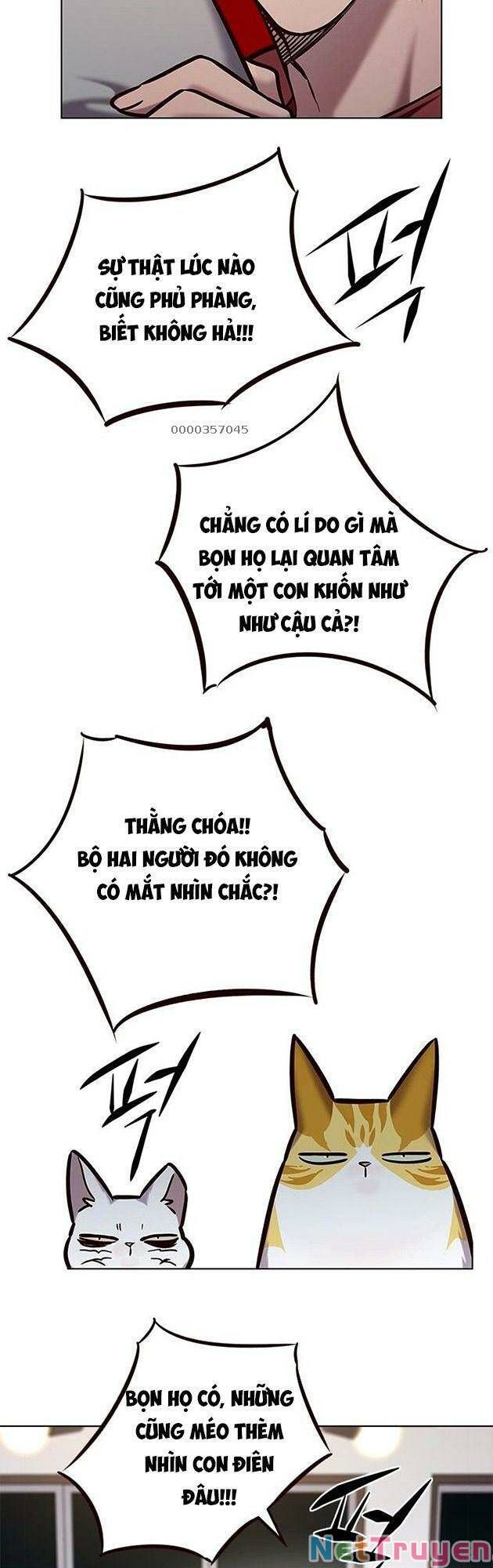 đọc truyện Hóa Thân Thành Mèo Chương 223 ảnh 33 tại Thiên Thai Truyện