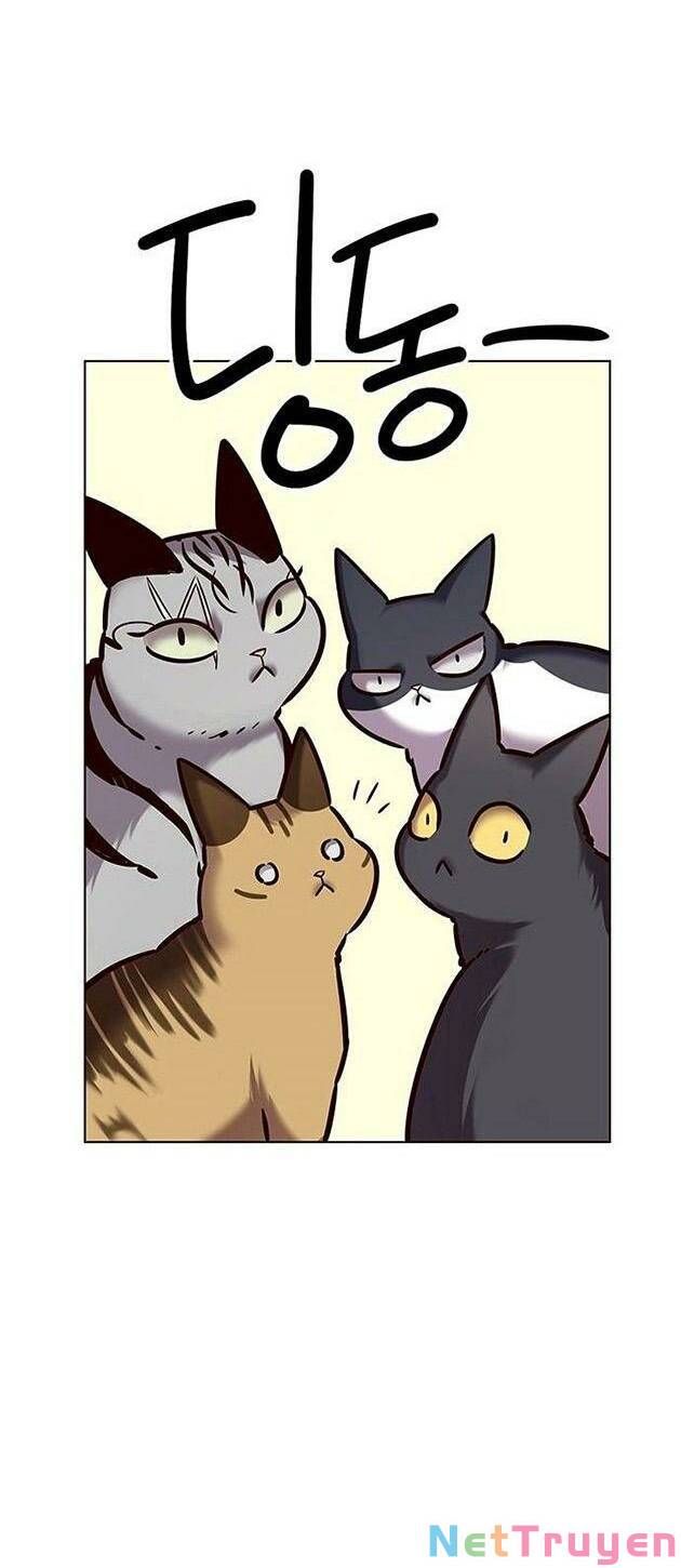 đọc truyện Hóa Thân Thành Mèo Chương 223 ảnh 35 tại Thiên Thai Truyện