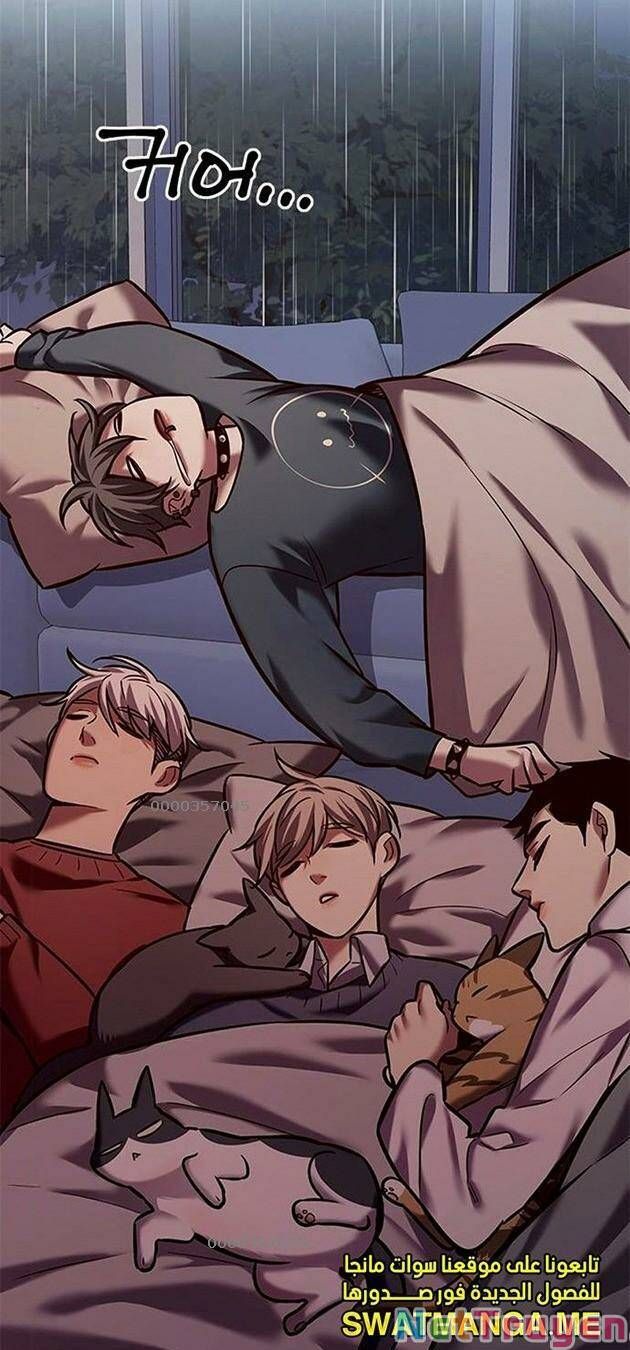 đọc truyện Hóa Thân Thành Mèo Chương 224 ảnh 5 tại Thiên Thai Truyện