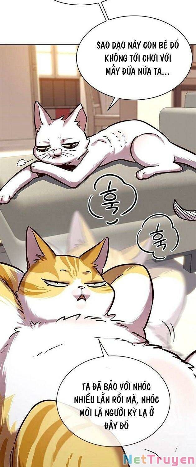 đọc truyện Hóa Thân Thành Mèo Chương 225 ảnh 43 tại Thiên Thai Truyện