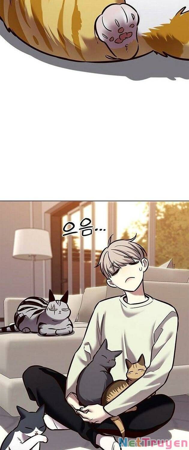 đọc truyện Hóa Thân Thành Mèo Chương 225 ảnh 44 tại Thiên Thai Truyện