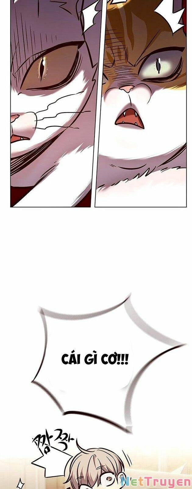 đọc truyện Hóa Thân Thành Mèo Chương 225 ảnh 46 tại Thiên Thai Truyện