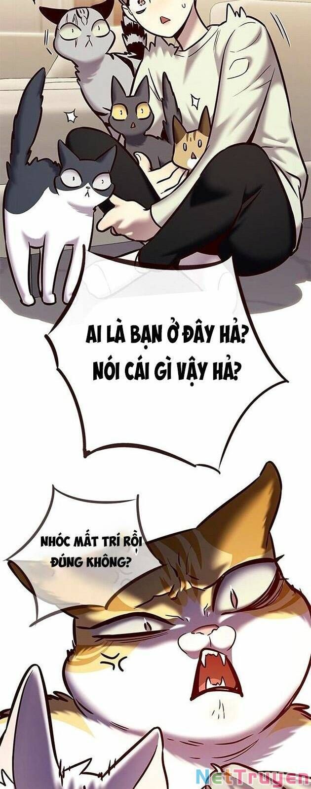 đọc truyện Hóa Thân Thành Mèo Chương 225 ảnh 47 tại Thiên Thai Truyện