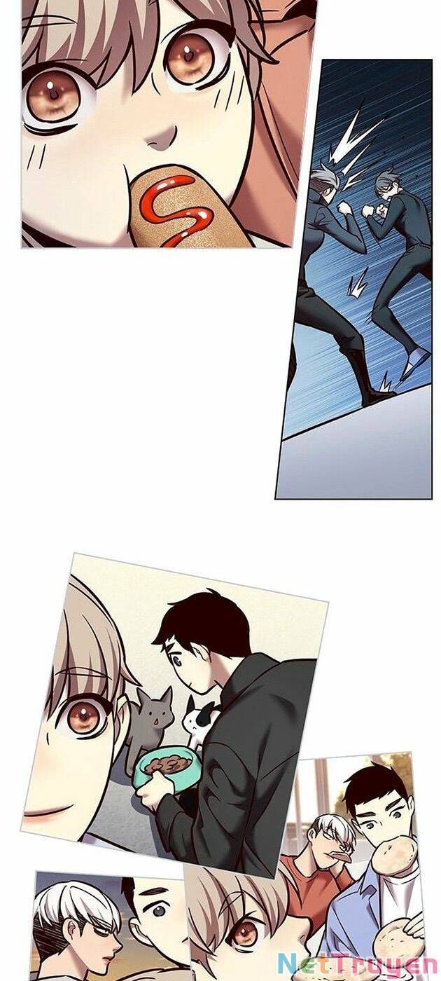 đọc truyện Hóa Thân Thành Mèo Chương 225 ảnh 58 tại Thiên Thai Truyện