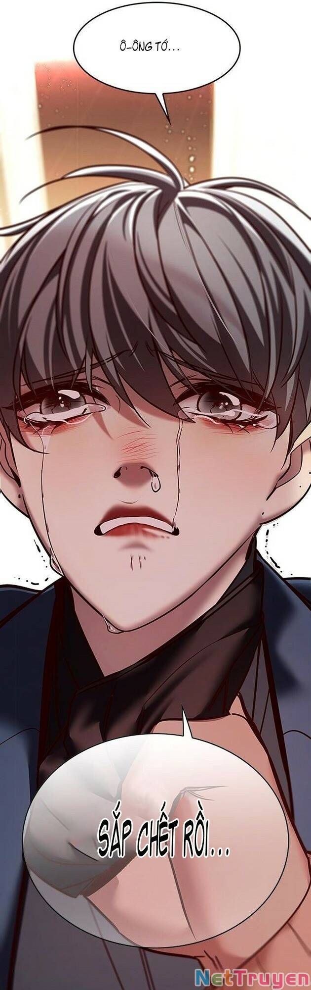 đọc truyện Hóa Thân Thành Mèo Chương 226 ảnh 77 tại Thiên Thai Truyện