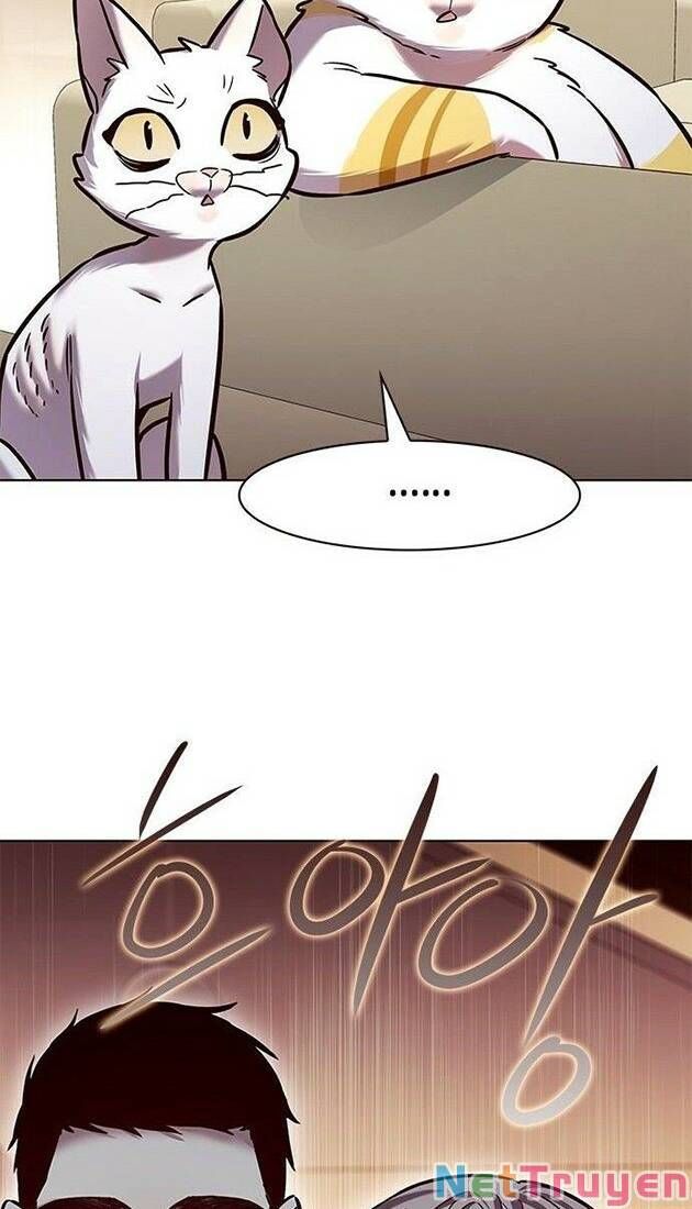 đọc truyện Hóa Thân Thành Mèo Chương 226 ảnh 79 tại Thiên Thai Truyện