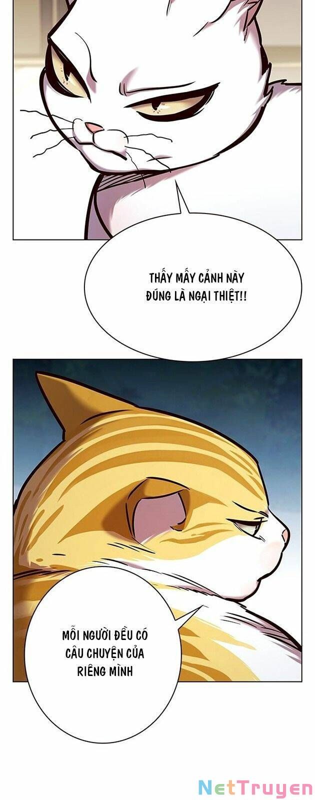 đọc truyện Hóa Thân Thành Mèo Chương 227 ảnh 4 tại Thiên Thai Truyện