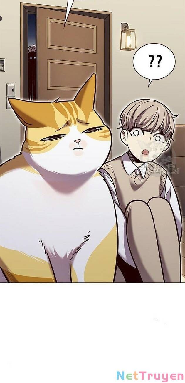 đọc truyện Hóa Thân Thành Mèo Chương 228 ảnh 16 tại Thiên Thai Truyện