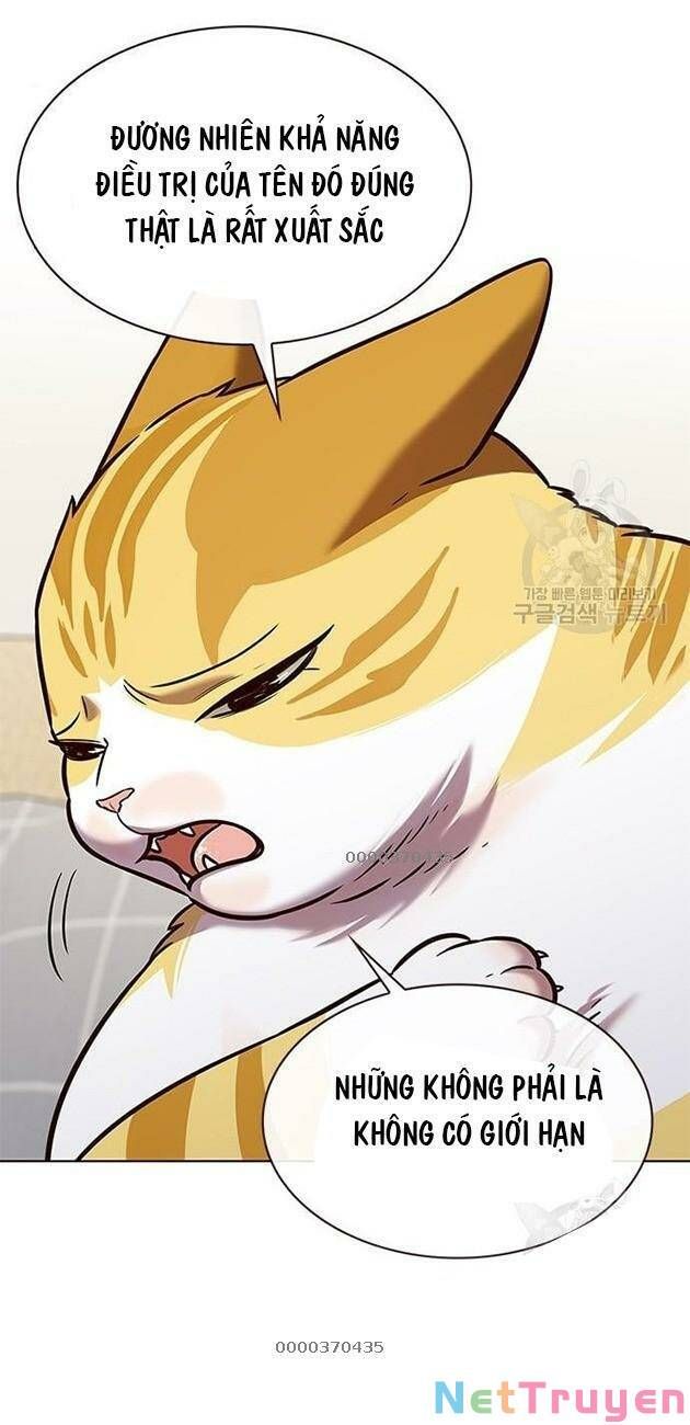 đọc truyện Hóa Thân Thành Mèo Chương 228 ảnh 17 tại Thiên Thai Truyện