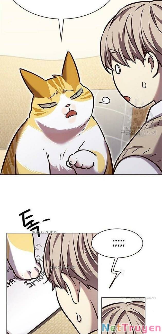 đọc truyện Hóa Thân Thành Mèo Chương 228 ảnh 19 tại Thiên Thai Truyện