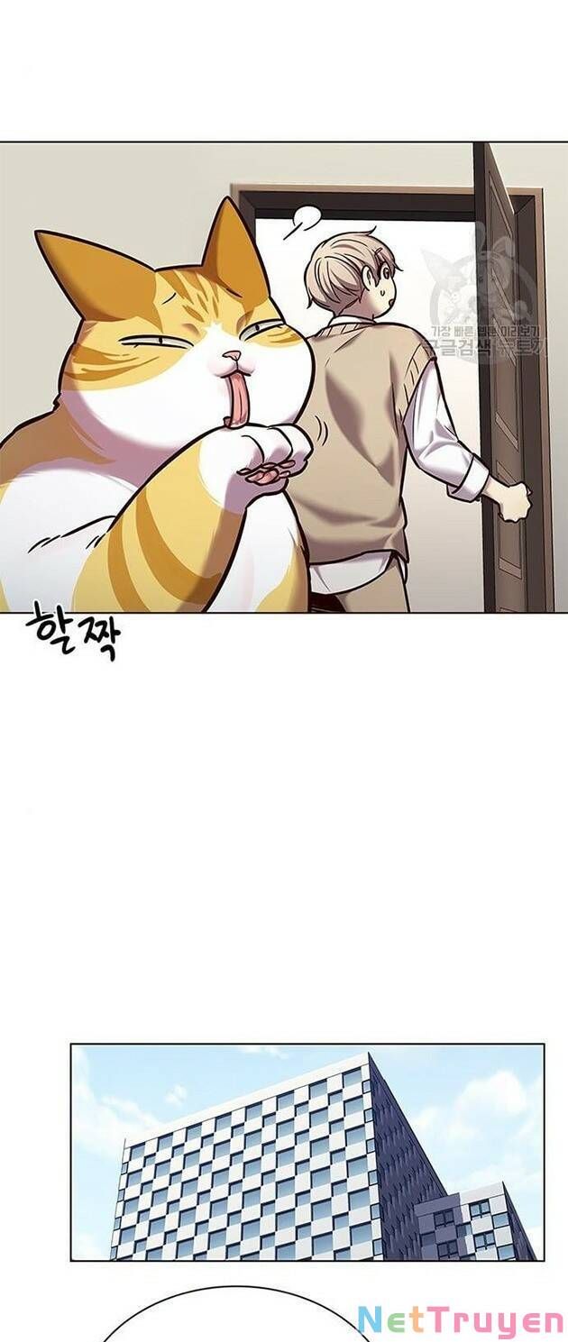 đọc truyện Hóa Thân Thành Mèo Chương 228 ảnh 25 tại Thiên Thai Truyện