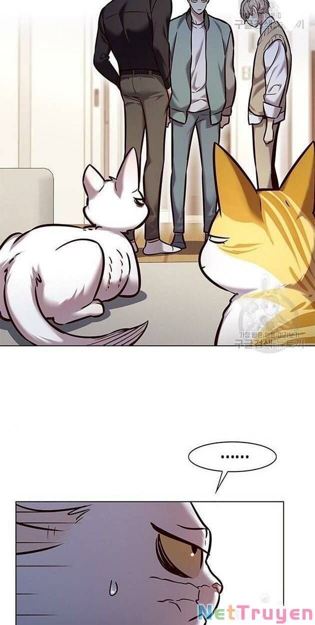 đọc truyện Hóa Thân Thành Mèo Chương 228 ảnh 6 tại Thiên Thai Truyện