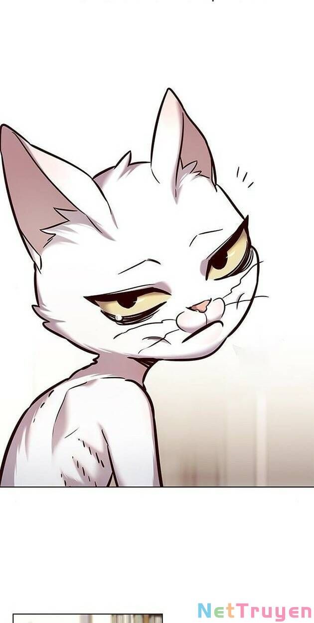 đọc truyện Hóa Thân Thành Mèo Chương 228 ảnh 10 tại Thiên Thai Truyện