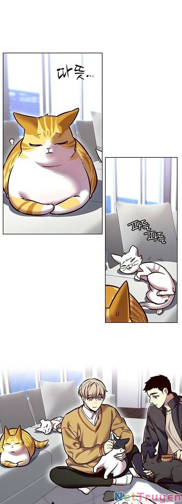 đọc truyện Hóa Thân Thành Mèo Chương 229 ảnh 21 tại Thiên Thai Truyện