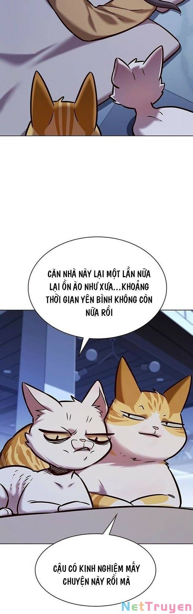 đọc truyện Hóa Thân Thành Mèo Chương 229 ảnh 47 tại Thiên Thai Truyện