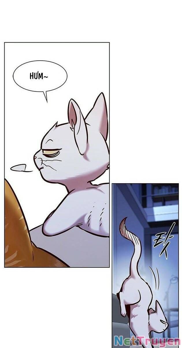 đọc truyện Hóa Thân Thành Mèo Chương 229 ảnh 48 tại Thiên Thai Truyện