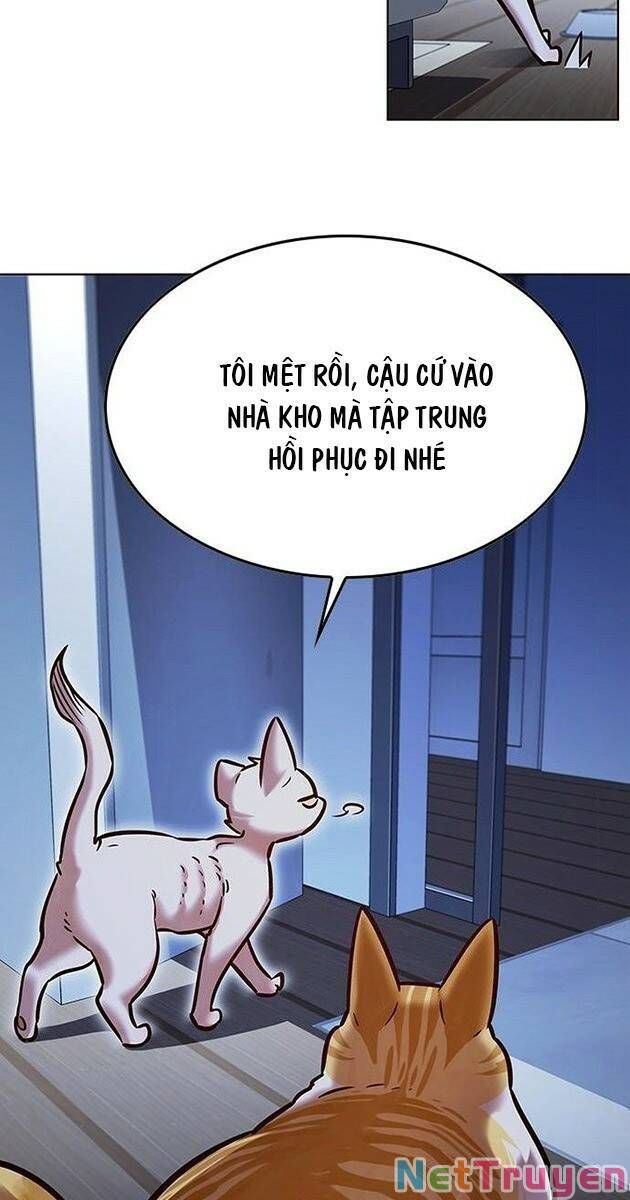 đọc truyện Hóa Thân Thành Mèo Chương 229 ảnh 49 tại Thiên Thai Truyện