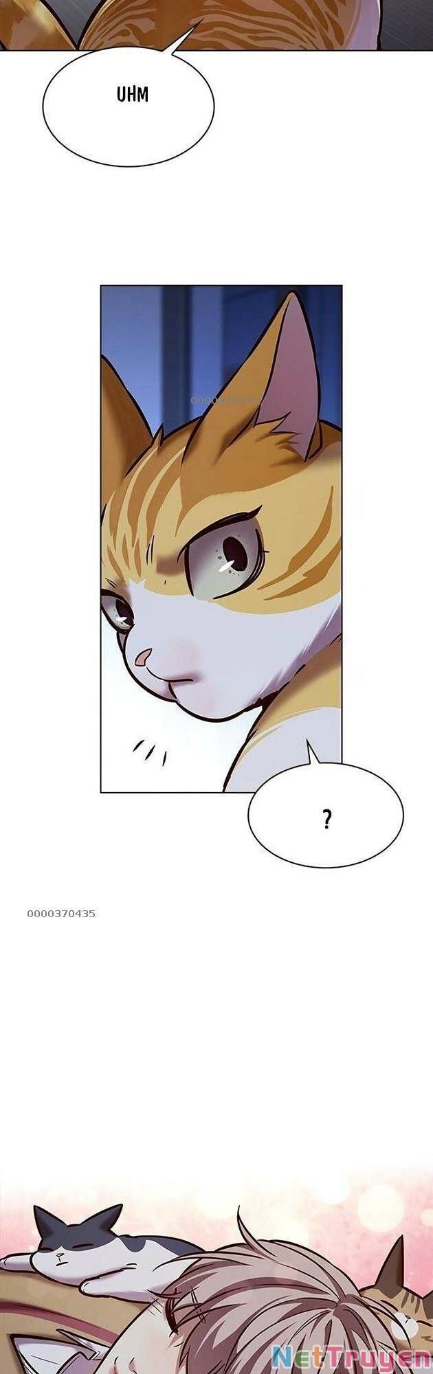 đọc truyện Hóa Thân Thành Mèo Chương 229 ảnh 50 tại Thiên Thai Truyện