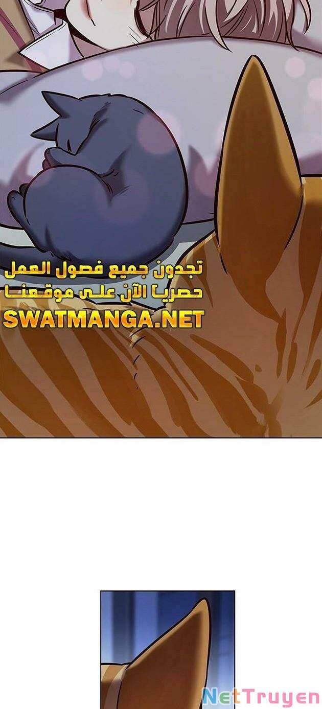 đọc truyện Hóa Thân Thành Mèo Chương 229 ảnh 51 tại Thiên Thai Truyện