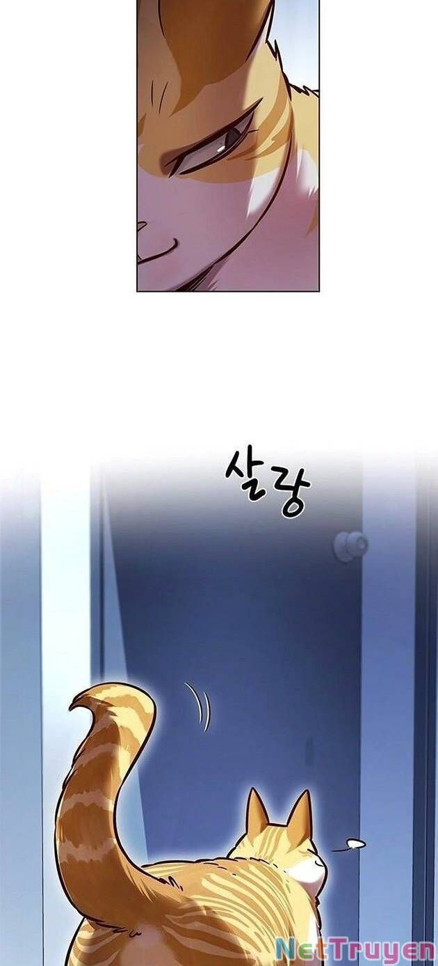 đọc truyện Hóa Thân Thành Mèo Chương 229 ảnh 52 tại Thiên Thai Truyện