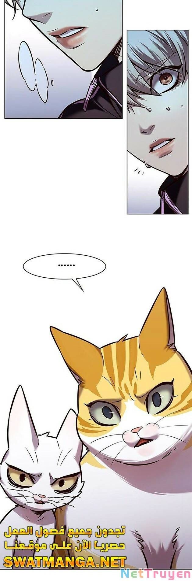 đọc truyện Hóa Thân Thành Mèo Chương 229 ảnh 65 tại Thiên Thai Truyện