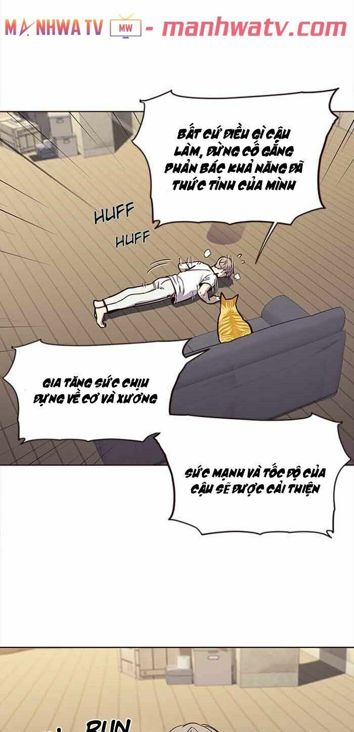 đọc truyện Hóa Thân Thành Mèo Chương 23 ảnh 21 tại Thiên Thai Truyện