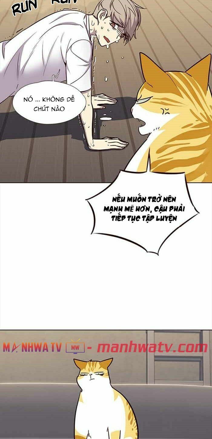 đọc truyện Hóa Thân Thành Mèo Chương 23 ảnh 22 tại Thiên Thai Truyện