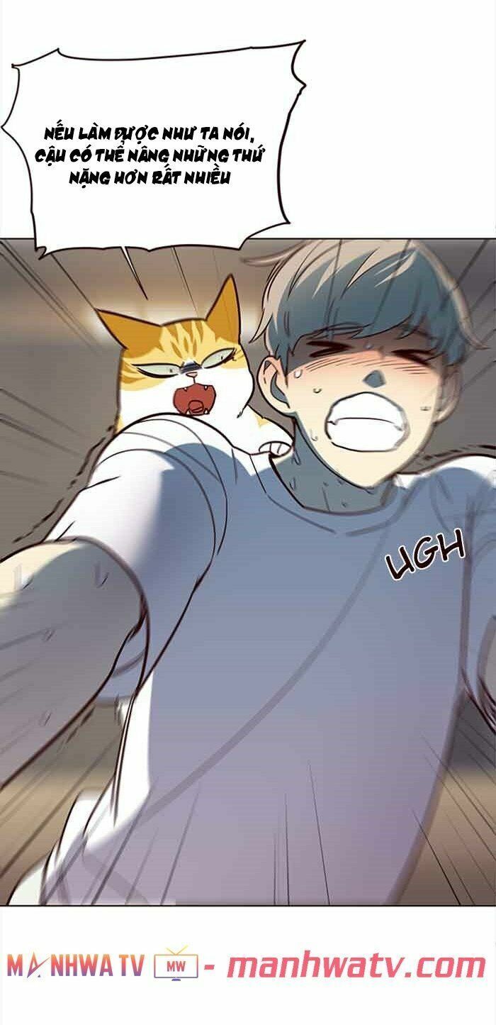 đọc truyện Hóa Thân Thành Mèo Chương 23 ảnh 25 tại Thiên Thai Truyện