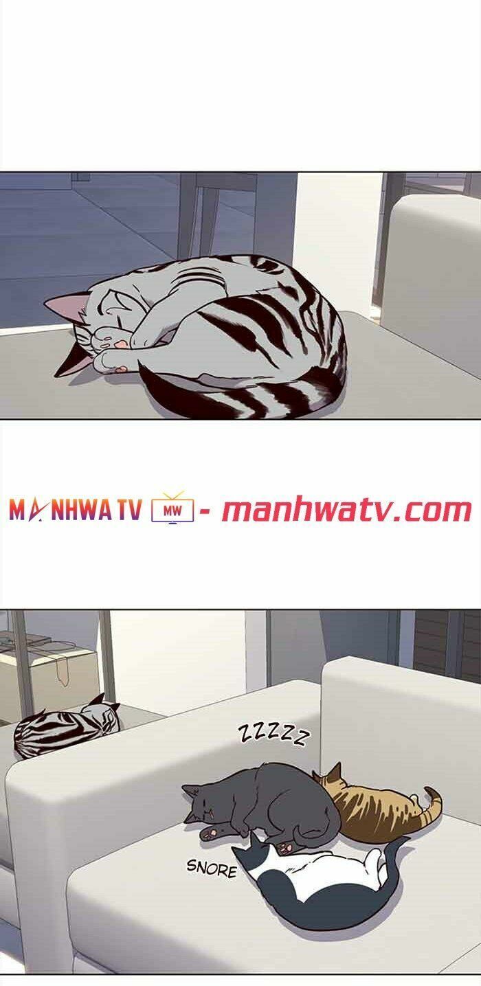 đọc truyện Hóa Thân Thành Mèo Chương 23 ảnh 32 tại Thiên Thai Truyện