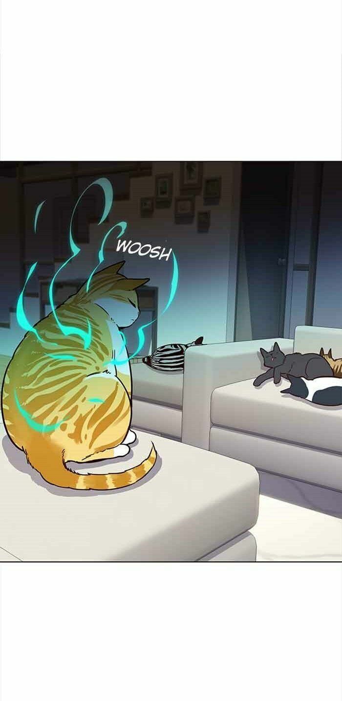 đọc truyện Hóa Thân Thành Mèo Chương 23 ảnh 33 tại Thiên Thai Truyện