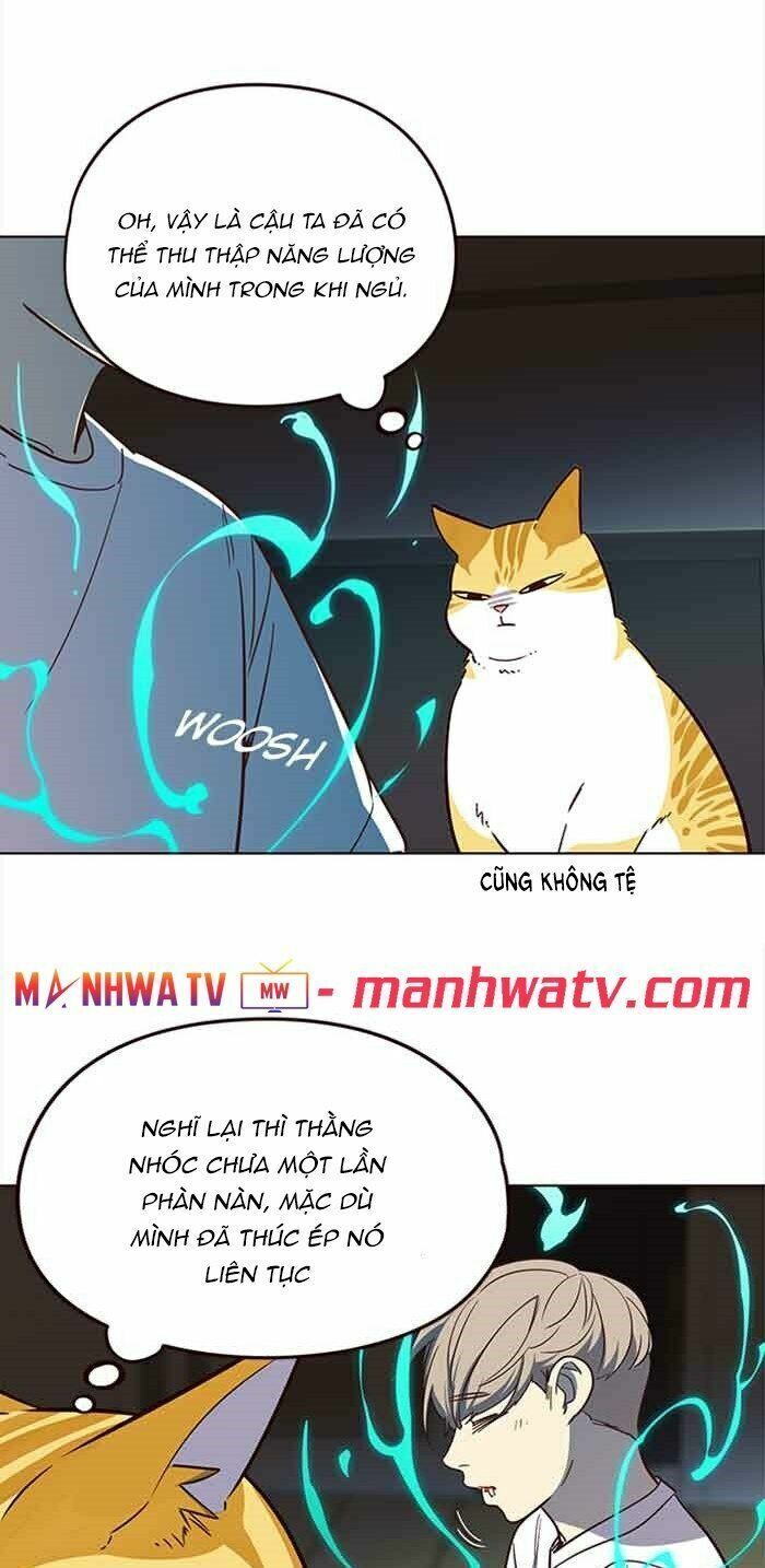 đọc truyện Hóa Thân Thành Mèo Chương 23 ảnh 36 tại Thiên Thai Truyện